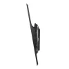 dq-wall-support-pallas-flex-support-mural-tv (1) Support mural Pallas Flex - Support mural TV